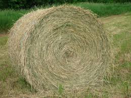 HayBale